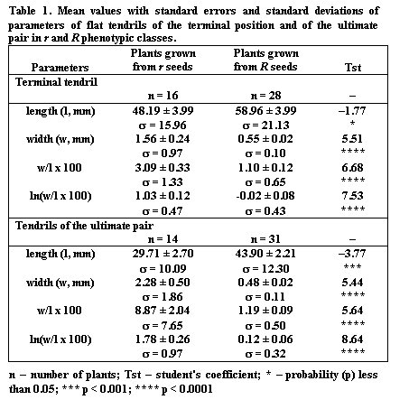 Text Box: Table 1. Mean values with standard errors and standard deviations of parameters of flat tendrils of the terminal position and of the ultimate pair in r and R phenotypic classes.
Parameters	Plants grown from r seeds	Plants grown from R seeds	Tst
Terminal tendril
	n = 16	n = 28	
length (l, mm)	48.19  3.99s = 15.96	58.96  3.99s = 21.13	1.77*
width (w, mm)	1.56  0.24s = 0.97	0.55  0.02s = 0.10	5.51****
w/l x 100	3.09  0.33s = 1.33	1.10  0.12s = 0.65	6.68****
ln(w/l x 100)	1.03  0.12s = 0.47	-0.02  0.08s = 0.43	7.53****
Tendrils of the ultimate pair
	n = 14	n = 31	
length (l, mm)	29.71  2.70s = 10.09	43.90  2.21s = 12.30	3.77***
width (w, mm)	2.28  0.50s = 1.86	0.48  0.02s = 0.11	5.44****
w/l x 100	8.87  2.04s = 7.65	1.19  0.09s = 0.50	5.64****
ln(w/l x 100)	1.78  0.26s = 0.97	0.12  0.06s = 0.32	8.64****

n  number of plants; Tst  student's coefficient; *  probability (p) less than 0.05; *** p < 0.001; **** p < 0.0001

