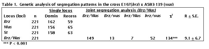 Text Box: Table 1.  Genetic analysis of segregation patterns in the cross E107(brz) x A583-139 (was)
		Single locus	Joint segregation analysis (Brz/Was)		
Locus (loci)	n	Domin	Recess	Brz/Was	Brz/was	brz/Was	brz/was	c2	R + S.E.
Brz	221	162	59						
Was	221	156	65						
St	221	158	63						
Brz/Was	221			149	13	7	52	134***	9.1 + 6.7
*** P < 0.001
